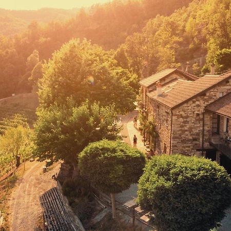 Cascina Bertolotto Wine Resort Spigno Monferrato Extérieur photo