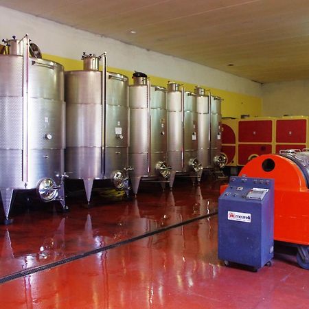Cascina Bertolotto Wine Resort Spigno Monferrato Extérieur photo