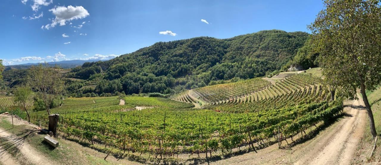 Cascina Bertolotto Wine Resort Spigno Monferrato Extérieur photo