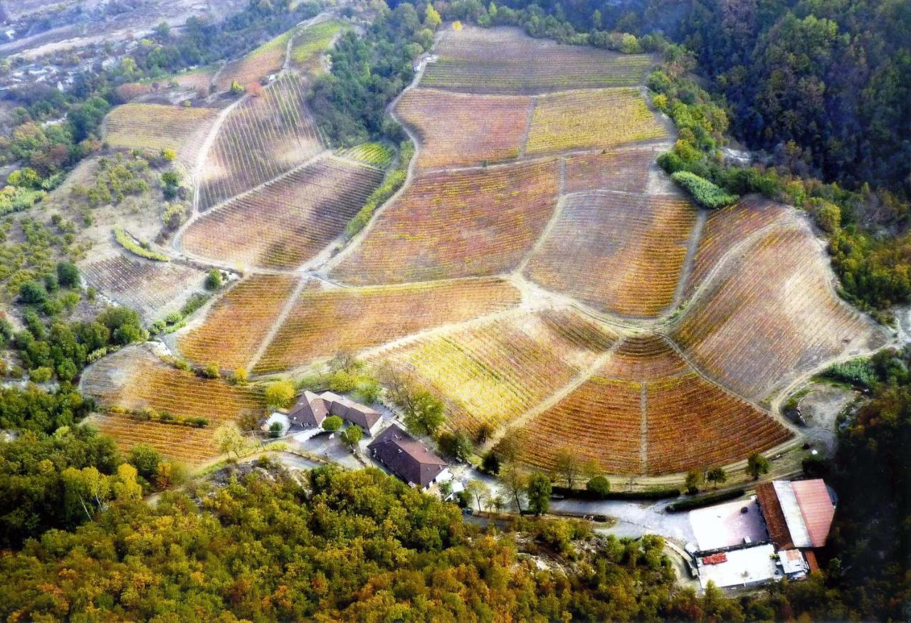 Cascina Bertolotto Wine Resort Spigno Monferrato Extérieur photo